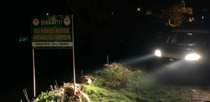 Adıyaman'da kuduz paniği: Üç köye altı ay karantina