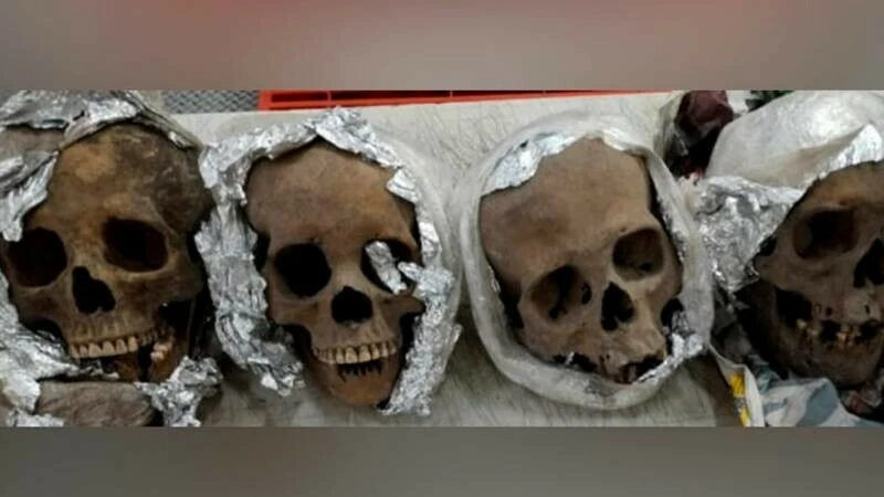 Havalimanındaki karton kutuda 4 kafatası bulundu! X-Ray cihazından geçerken fark edildi