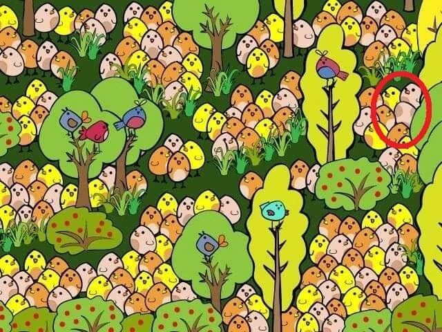 Şaşı yapan zeka testi: Civcivlerin arasındaki yumurtayı 9 saniyede 10 kişiden sadece 2’si bulabiliyor!