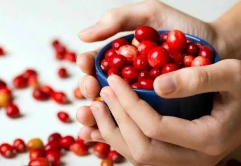 Türkülere konu olan meyvenin faydaları keşfedildi: Hem bedeni hem hafızayı anında gençleştiriyor!