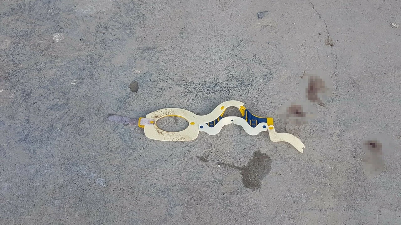 Ayakkabısını alan köpeğin peşinden gitti: Küçük çocuğun acı sonu